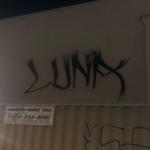 ilylun4's profile picture