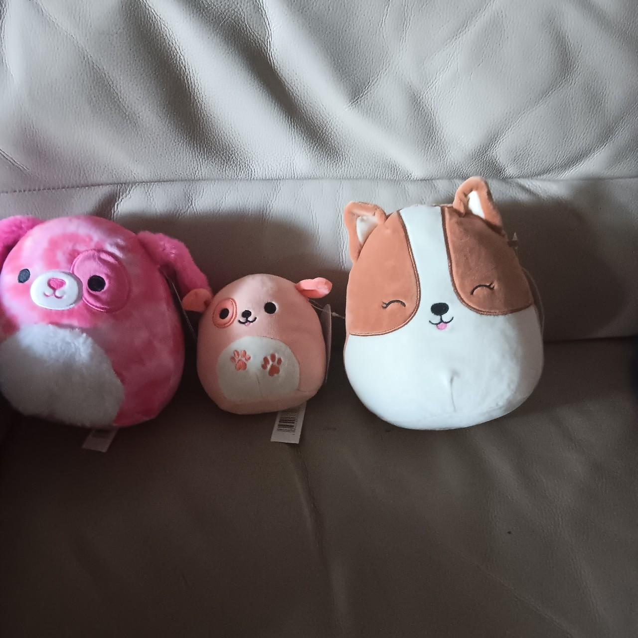 Squishmallow factory bundle of dogs