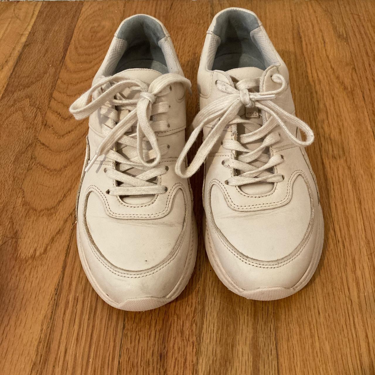 everlane trainer sneaker