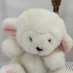 lambiebrites's profile picture