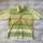 item listed by redsvintage
