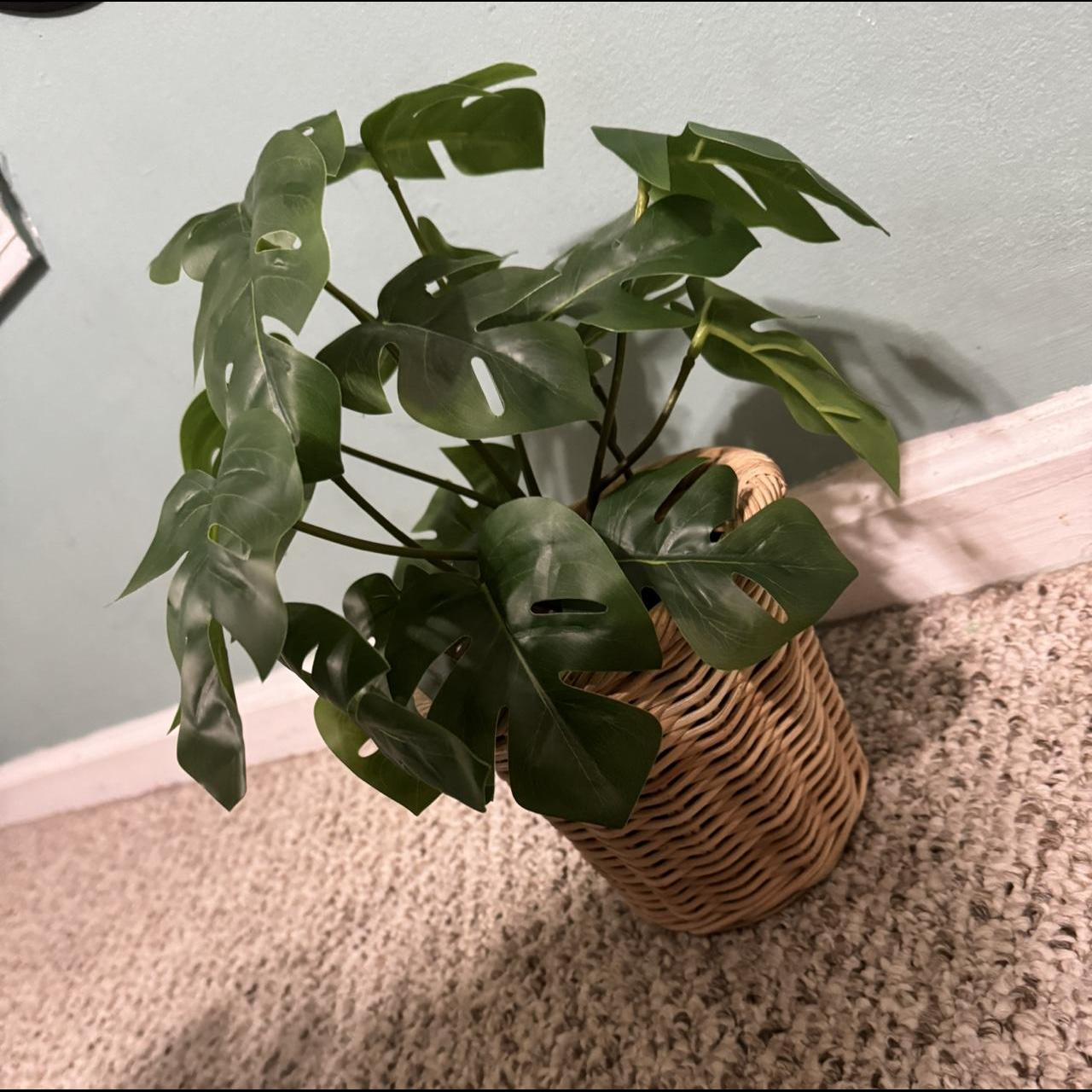 ikea fake plant ikea fakeplant aesthetic room... Depop