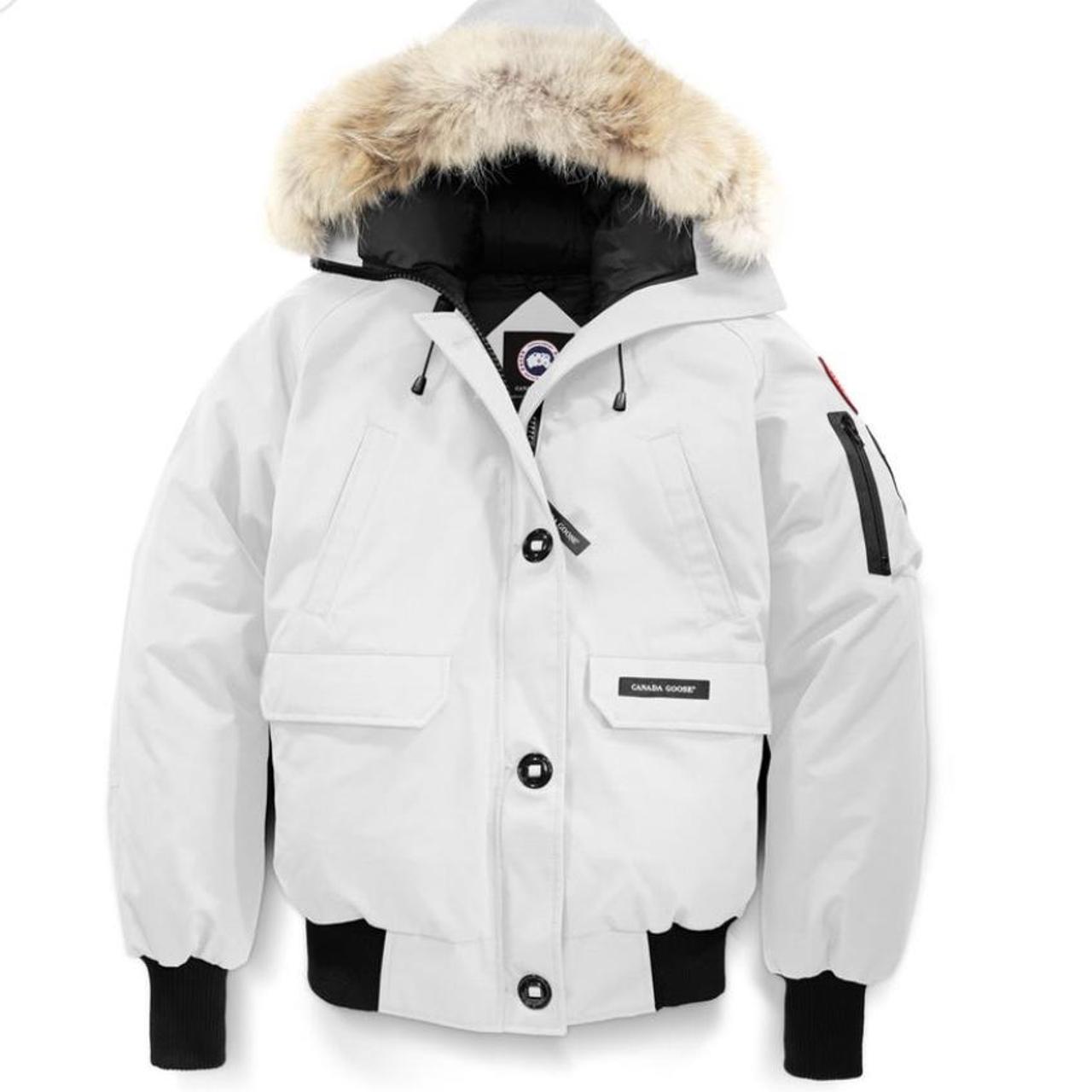 White canada discount goose chilliwack