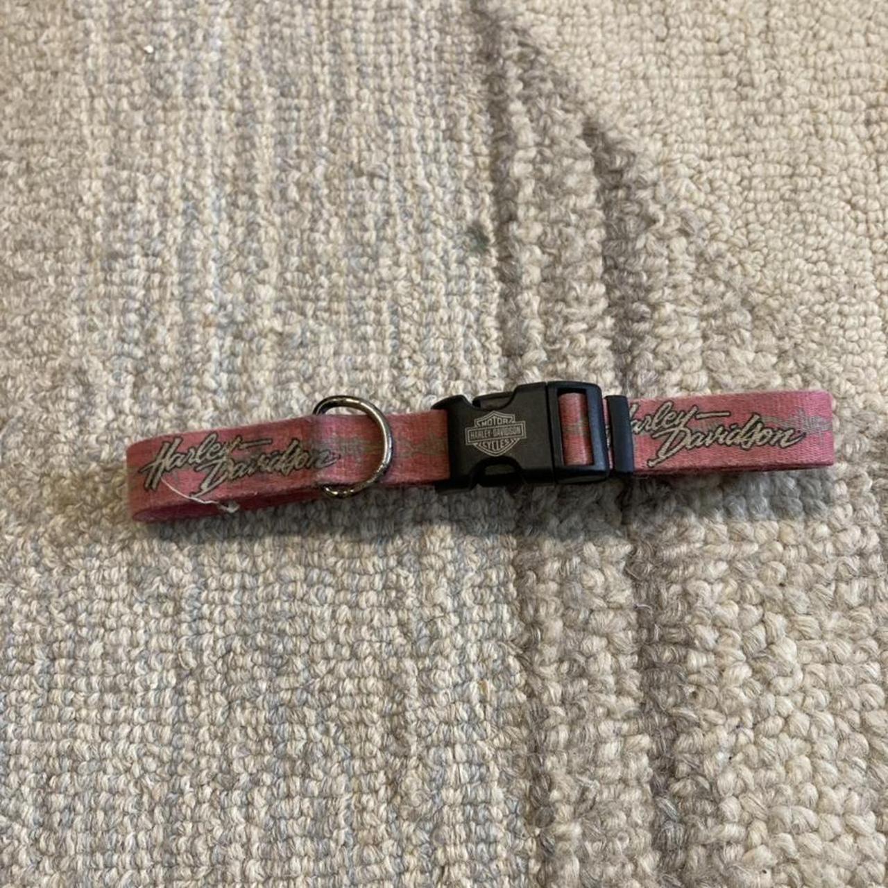 Pink Harley Davidson dog collar One size with. Depop