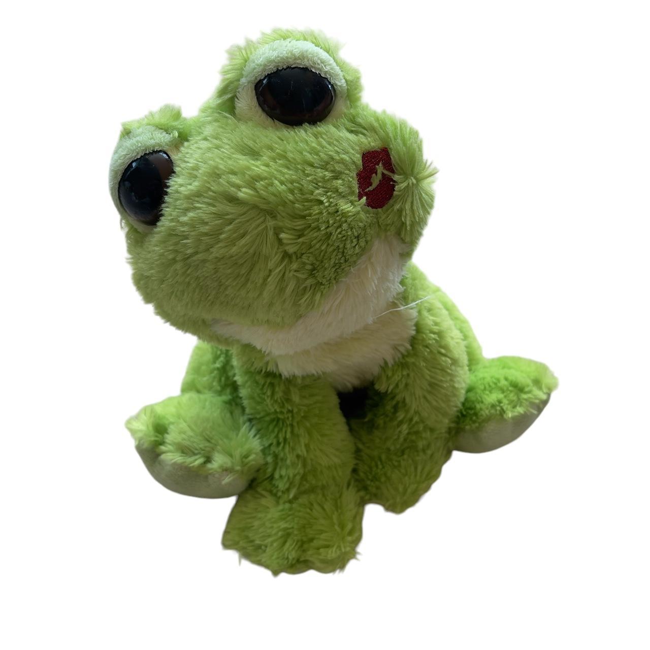 Aurora 10 Dreamy Eyes Fantabulous Frog Plush - Depop