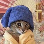 sophiesthrifty's profile picture