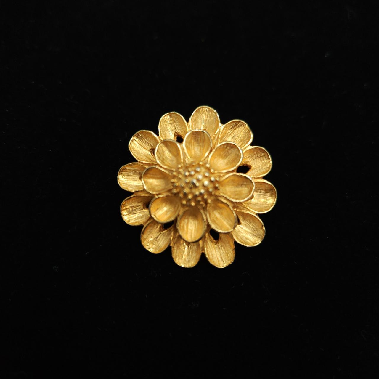 Dubarry Women's Gold Jewellery