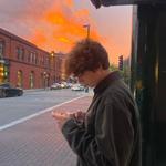 lucaverw's profile picture