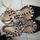 item listed by florenzacampos