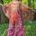 item listed by coscoscookies