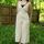 item listed by coscoscookies