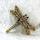 item listed by vintagevignettes