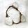 item listed by vintagevignettes