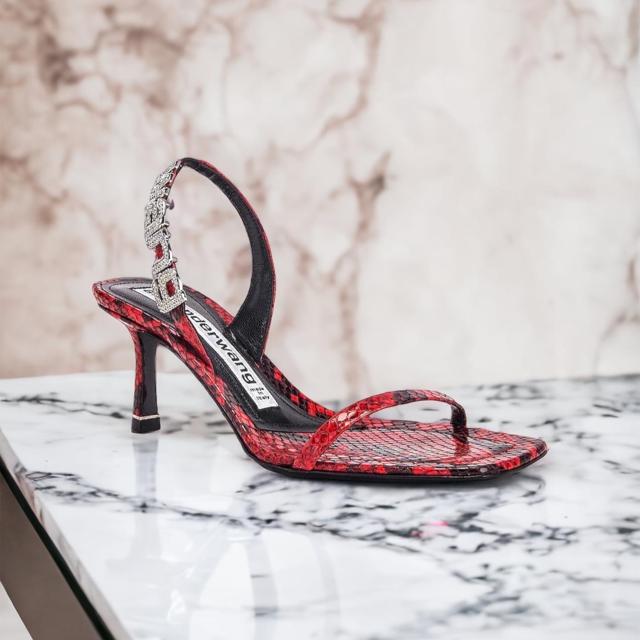 Alexander wang 2024 red heels