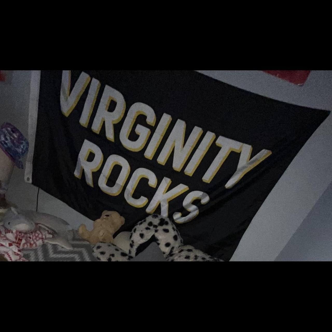 Virginity rocks hoodie online nz