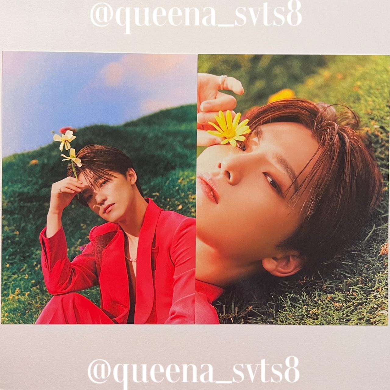 'Face The Sun' Kit Album Dino Postcard • Not selling... Depop