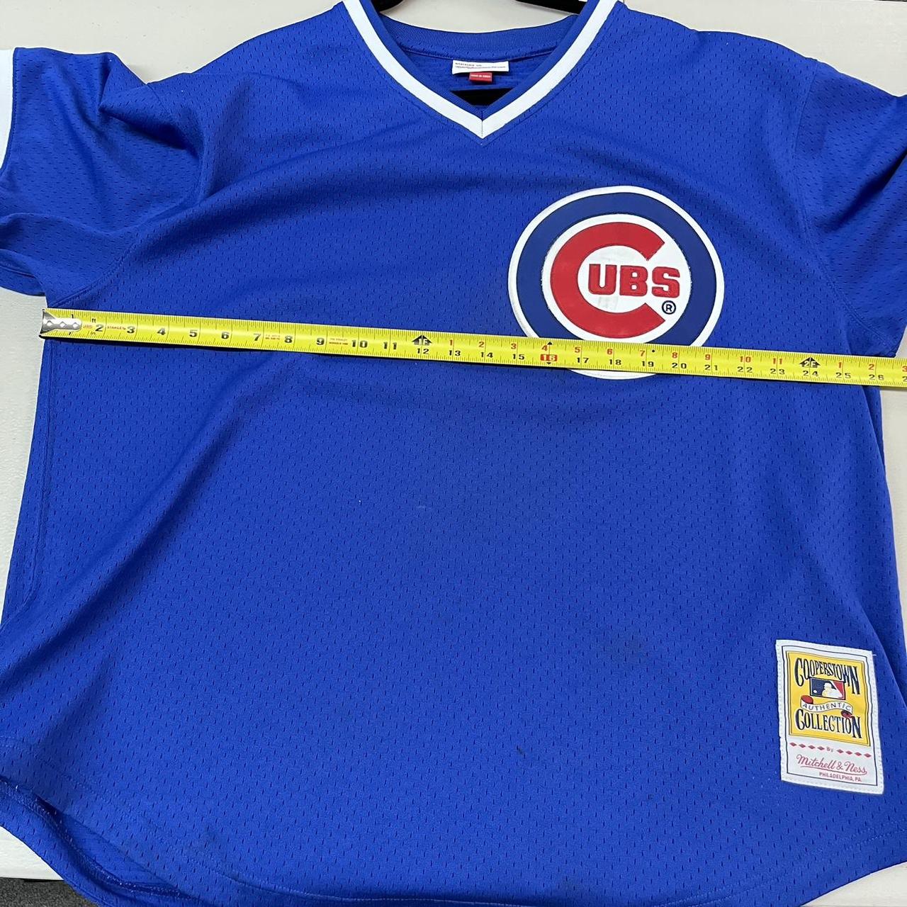 Mitchell & Ness Ryne Sandberg Chicago Cubs Jersey - Depop