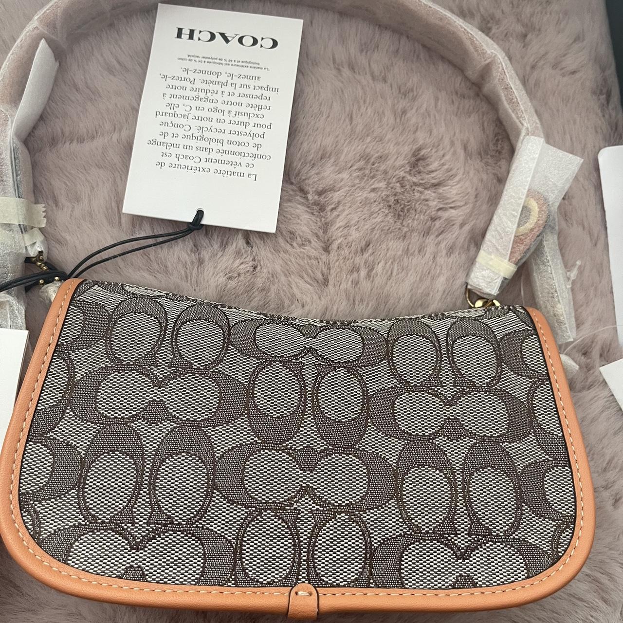 Coach X Observed By Us Swinger Bag 20 In Signature | Depop