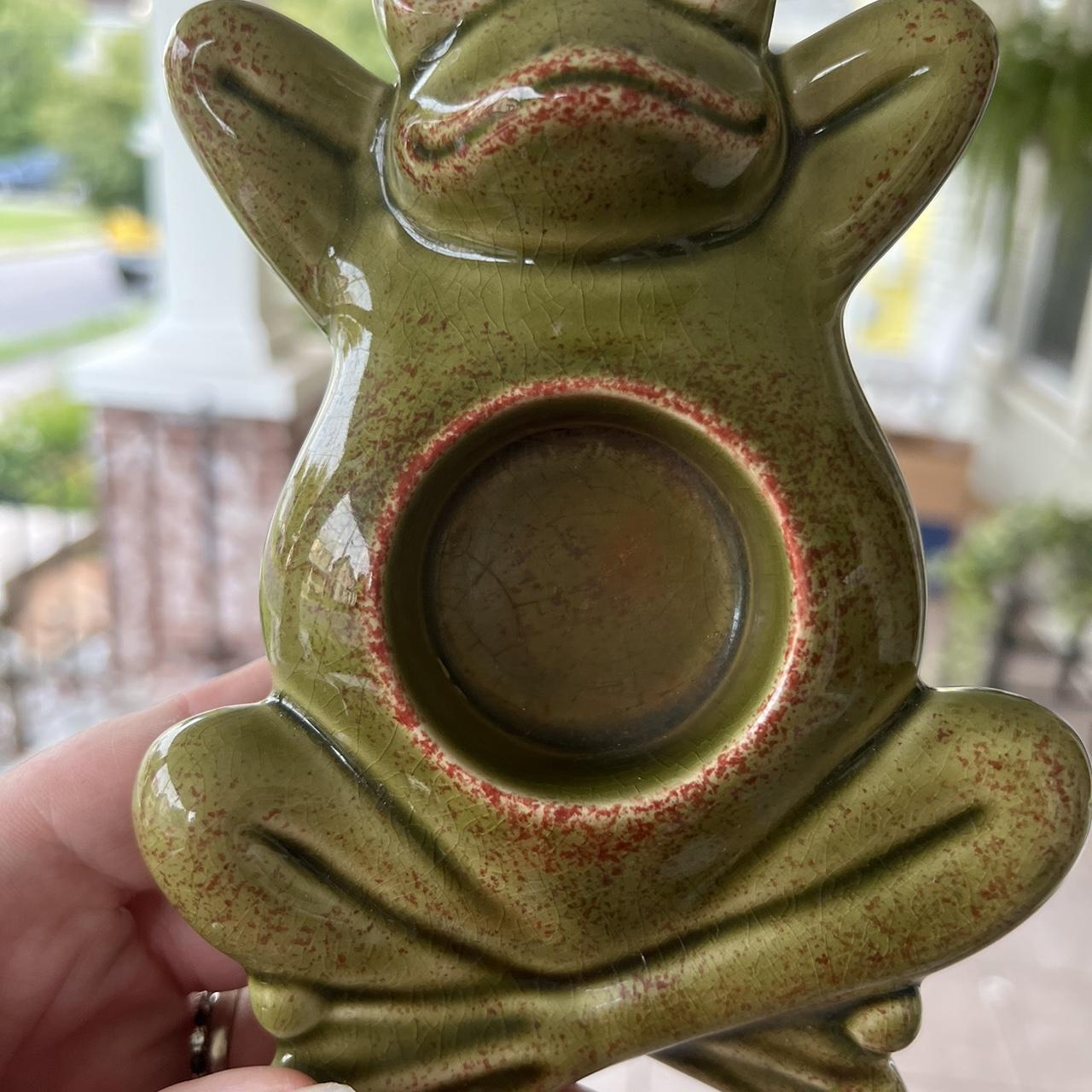 Green Frog Sponge Holder 