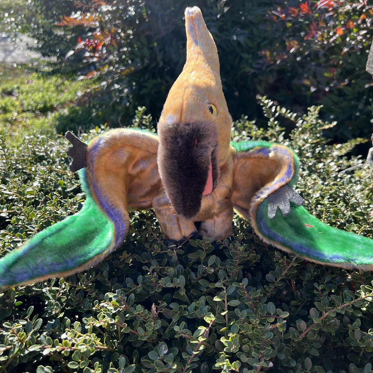 Ty Beanie Buddies Swoop Pterodactyl 2001 Depop