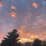 cclothes98's profile picture