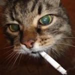 bburnshb's profile picture