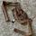 item listed by steena_welk