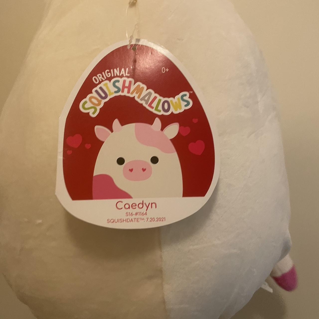 Squishmallow shops Caedyn 16