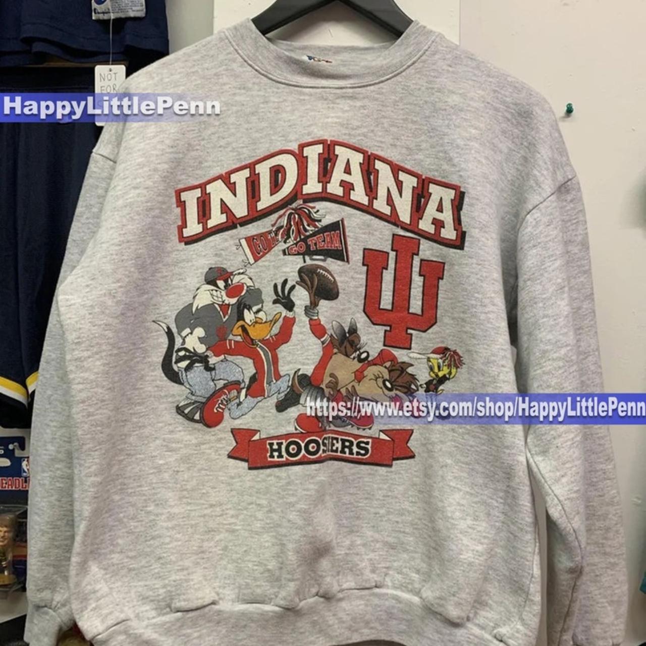 Gildan, Shirts, Vintage Nfl Indianapolis Colts Looney Tunes Sweatshirt  Indianapolis Colts Shirt