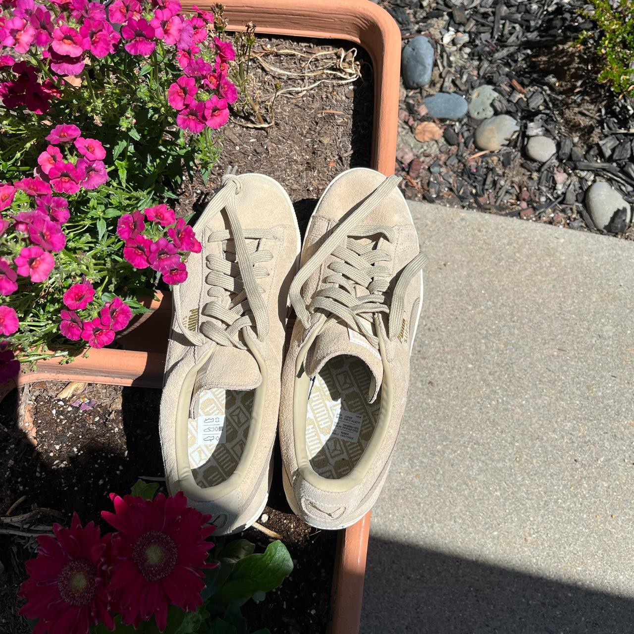 mens puma trainers footasylum