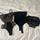 item listed by chloemorgan1026