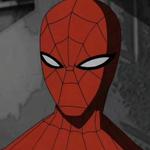 findsr's profile picture