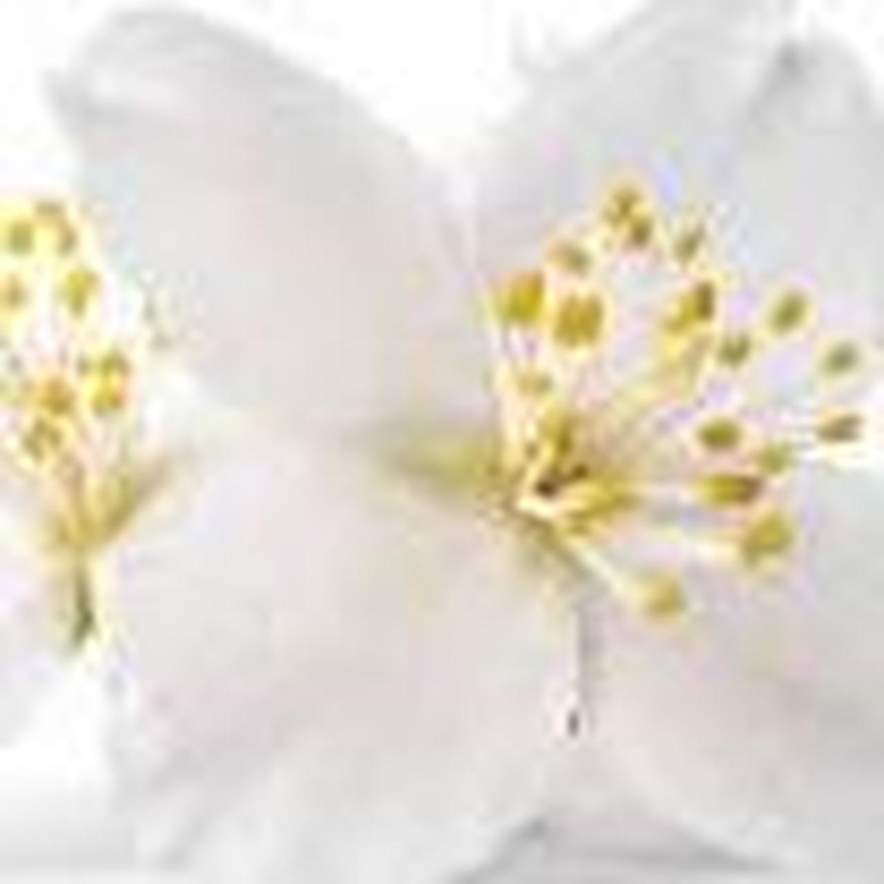 item listed by upozastudio
