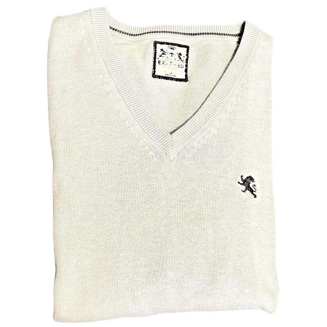 Express mens v neck sweater best sale