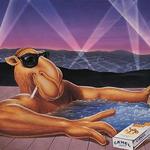 zachcloset's profile picture