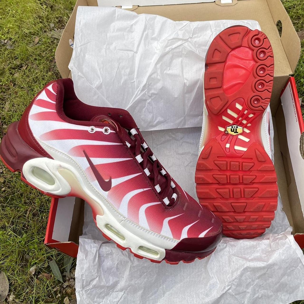 Nike Air Max Plus TN 17 After the Bite Size Depop