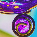 purpl_pixe_dust's profile picture