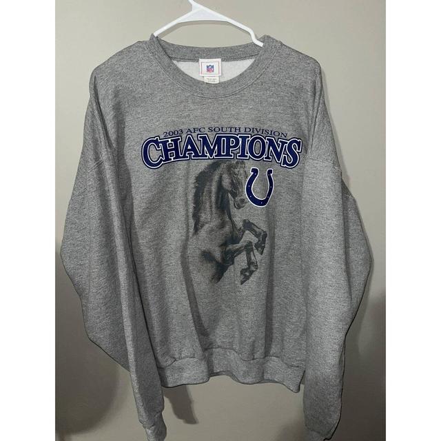 Texans hoodie. 2015 AFC South Divisional Champions - Depop