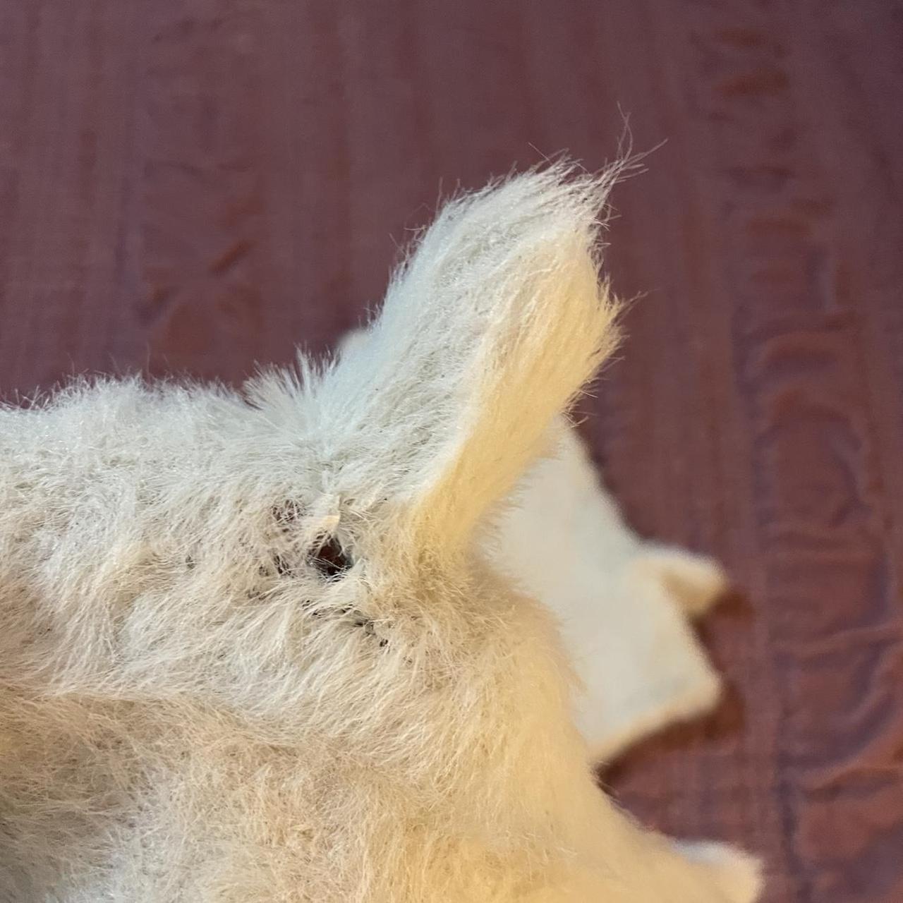 Basic Pleasure Mode Women's Gloves - Multi – whit… - image 6