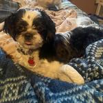 gypsygirl64's profile picture
