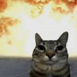 tina12489's profile picture