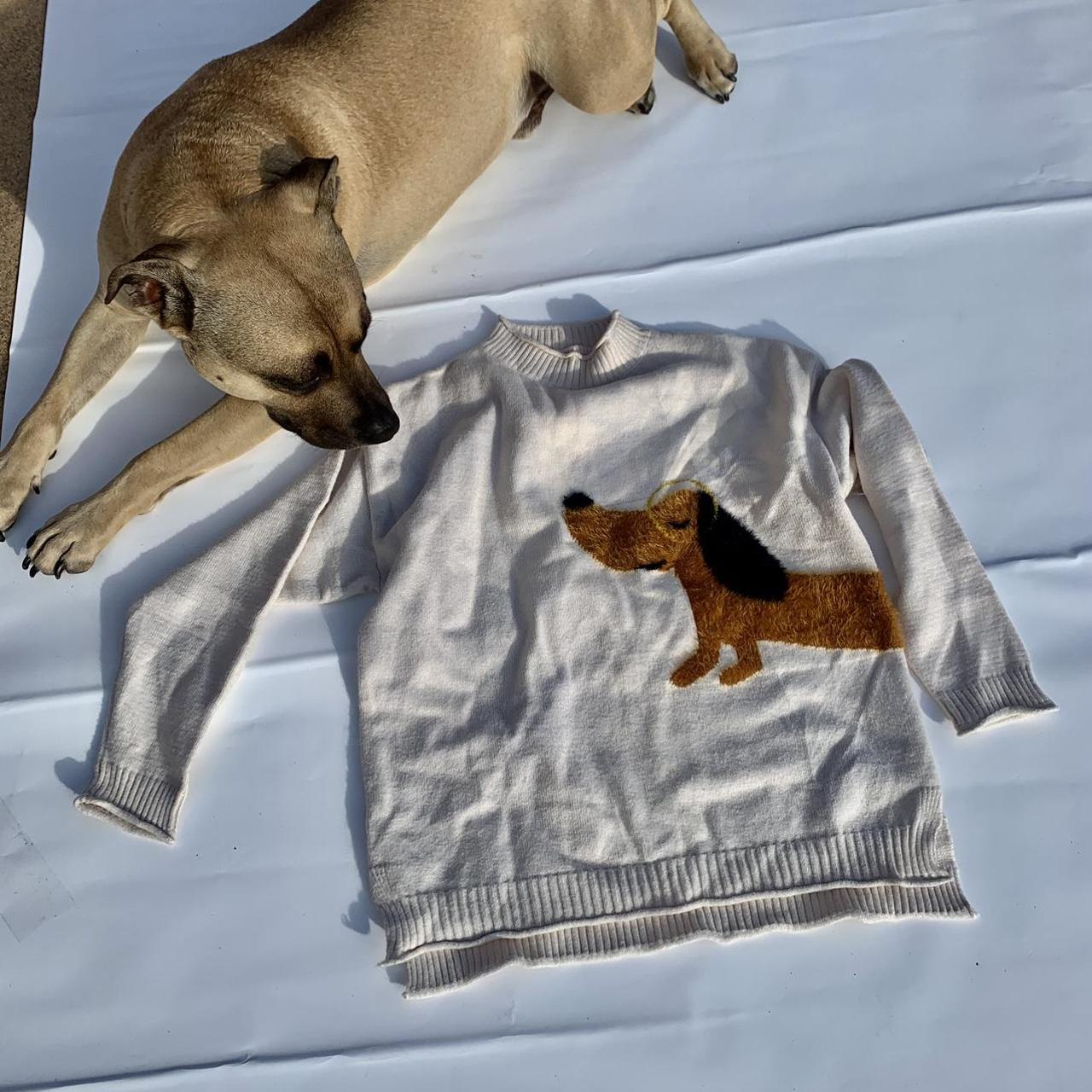 HELP. Dog ISSUES This Sausage Dog sweater is a... Depop