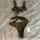 item listed by valerie_lera