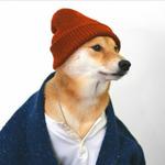 kingfoxthread's profile picture