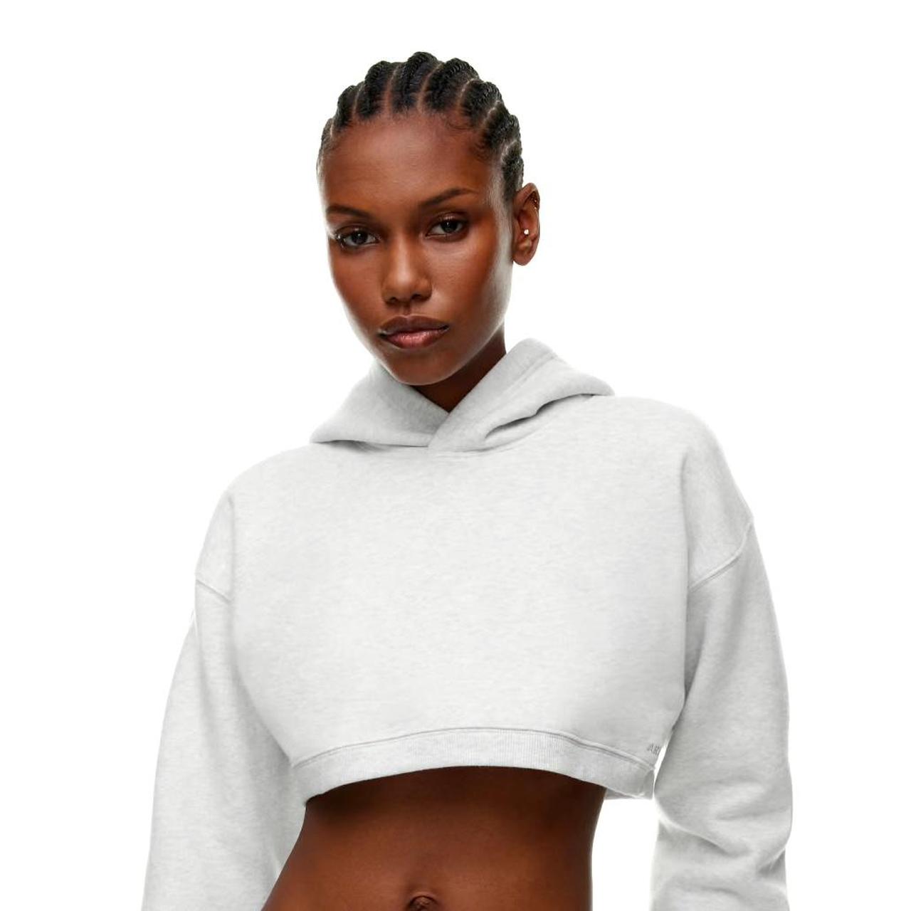 Aritzia cropped hoodie best sale