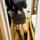 item listed by kaiiiii510
