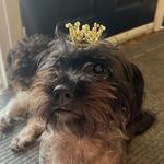 jessmiz's profile picture