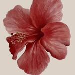 jewelsbymariola's profile picture