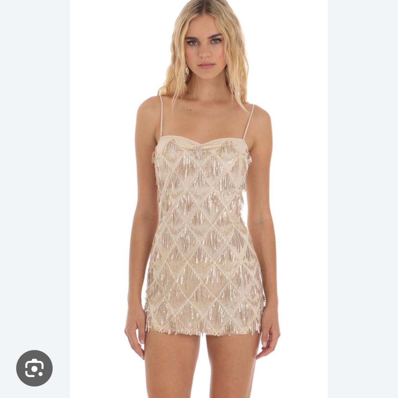 Lucy in the Sky Sequin Fringe Dress