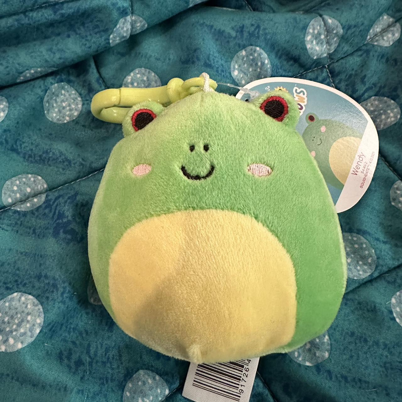 Wendy The Frog Squishmallow Clip! Expand your - Depop